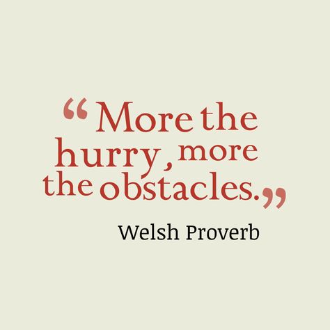 More the hurry, more the obstacles. Lavish Closet, Heart Facts, Inspirational Quotes Famous, Living Motivation, Life Quotes Positive, Liar Quotes, Personal Advice, Show Quotes, Life Quotes Relationships