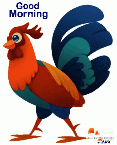 Good Morning Chicken GIF - GoodMorning Chicken Walking - Discover & Share GIFs Good Morning Gif Funny, Fun Messages, Cute Good Morning Gif, Farm Cartoon, Morning Gifs, Good Morning Smiley, Animated Emoticons, Good Morning Animation, Morning Cartoon