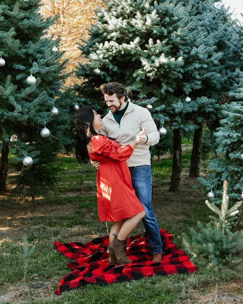 Here are some photos from my first day of Christmas Tree Farm minis last weekend! I can’t wait for this weekend’s sessions! . . . . #christmastreefarmminisessions #christmastreefarm #holidayminisessions #holidayphotographer #dcchristmasphotos #vafamilyphotographer #dcfamilyphotographer #christmasphotoshoot #christmasphotosession Christmas Tree Farm Maternity Photos, Maternity Christmas Pictures, Tree Farm Minis, Christmas Tree Farm Pictures, Tree Farm Pictures, Christmas Tree Farm Mini Session, Tree Farm Photo Shoot, Christmas Tree Farm Photo Shoot, Tree Farm Mini Session