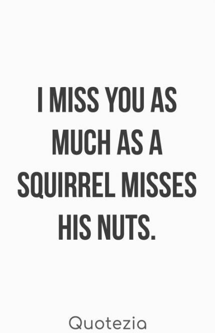 Funny Relationship Quotes For Him, Quotes Distance Friendship, Funny Quotes For Him, Funny Quotes Humor, Quotes Distance, Marriage Quotes Funny, I Miss You Quotes, Relationship Quotes For Him, Funny Relationship Quotes