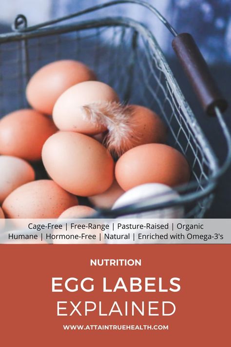 When did it get so confusing to buy eggs? The cartons are covered with terms like cage free, organic, natural… plus a wide range of prices to make a decision even trickier. So, what does all this mean? This post explains it all #egglables #cagefree #freerange #pastureraised #organiceggs #humaneeggs #naturaleggs #enrichedeggs #omega3eggs #freerangeeggs #eggs #egg #eggrecipe #foodinformation #breakfast #healthylifestyle #homecooking #vegetarian #eggrecipe #egglabel Organic Eggs, Make A Decision, Buffalo Chicken Dip, Free Range, Buffalo Chicken, Egg Recipes, Home Cooking, Healthy Lifestyle, Egg