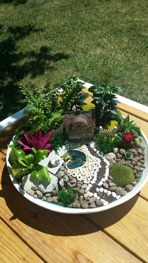 Dish Gardening Ideas, Broken Pot Garden, Plants Terrarium, Fairy Garden Pots, Indoor Fairy Gardens, Succulent Planter Diy, Fairy Garden Plants, Fairy Garden Furniture, Succulent Garden Design