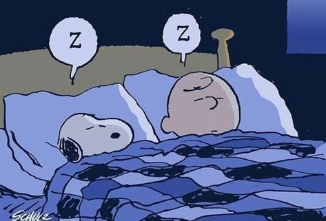 sleepy snoopy Snoopy Desktop Wallpaper Hd 1080p, Snoopy Wallpaper Desktop, Sleep Character, Sleepy Snoopy, Snoopy And Charlie Brown, Woodstock Snoopy, Snoopy Images, Snoopy Wallpaper, Snoopy Pictures