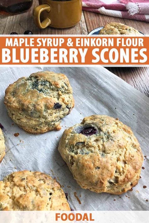 Vegan Einkorn Recipes, Sunrise Flour Mill Recipes, Einkorn Muffins Recipe, Einkorn Blueberry Muffins, Einkorn Dessert Recipes, Einkorn Bread Recipe, Eikorn Recipe, Einkorn Flour Recipes, Einkorn Scones