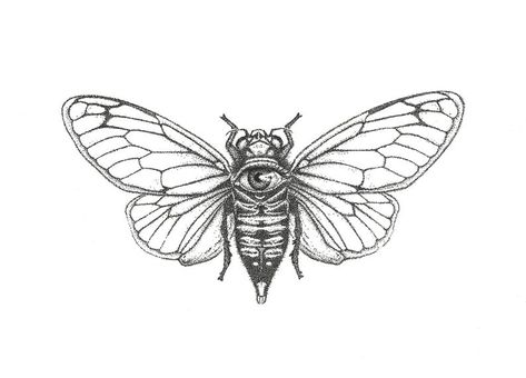 Bug Illustration, Cicada Art, Cicada Tattoo, Trippy Wall, Print Drawing, Bug Tattoo, Insect Tattoo, Moth Tattoo, Sunflower Tattoos