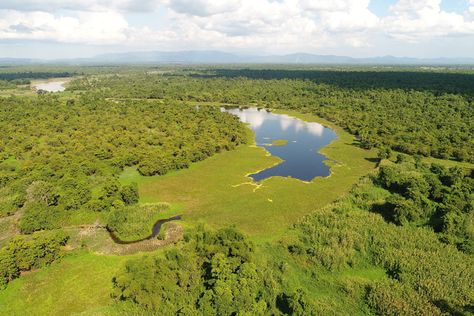 The country’s largest integrated telecommunications company PLDT and its wireless subsidiary Smart Communications Inc. (Smart) will soon deploy digital innovations to help protect key biodiversity areas throughout the Philippines. PLDT-Smart’s most recent initiative under its Gabay Kalikasan  environmental stewardship program is for the protection of the Caimpugan Peatlands in the Agusan Marsh Wildlife Sanctuary (AMWS). […] Old Cell Phones, Carbon Sink, Forest Ranger, Environmental Concerns, Mangrove Forest, Environment Day, World Environment Day, Wildlife Sanctuary, Tourism