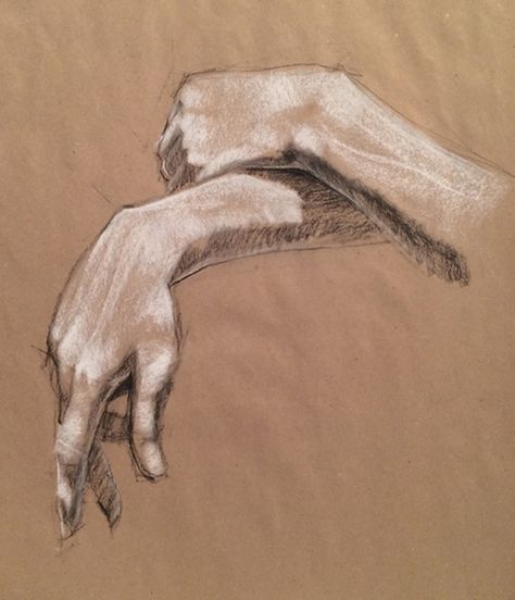 Hand Studies, Brian Smith, Vine Charcoal, Charcoal Sketch, High School Art, White Chalk, Ap Art, Paper Drawing, Charcoal Drawing