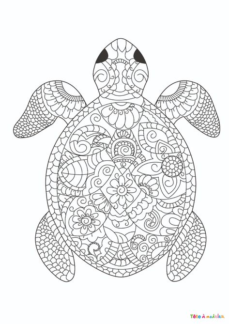 Coloriage tortue #07 : un dessin à imprimer avec Tête à modeler Turtle Coloring, Sea Turtle Pictures, Mandala Turtle, Turtle Coloring Pages, Mandalas Drawing, Printable Adult Coloring Pages, Easy Coloring Pages, Mandala Coloring Pages, Free Printable Coloring