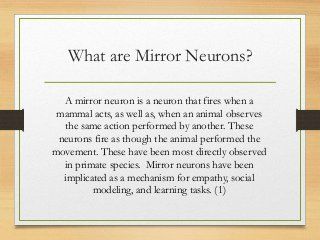 Mirror Neurons Neuroscience, Mirror Neurons, Psychology Essay, Buddhism Beliefs, Scanning Electron Micrograph, Cognitive Therapy, Mental Health Counselor, Technology Life, Teaching Biology