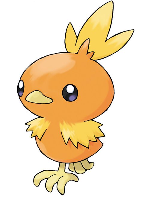 Torchic Aurorus Pokemon, Art Pokémon, Fire Type Pokémon, Bird Pokemon, 151 Pokemon, Pokemon X And Y, Pokemon Painting, Pokemon Official, Popular Pokemon