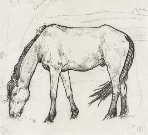 Grazing Horse, Horse Pens, Horse Art Drawing, Landscape Pencil Drawings, Navajo Art, Horse Sketch, Horse Anatomy, Horse Illustration, Horse Artwork