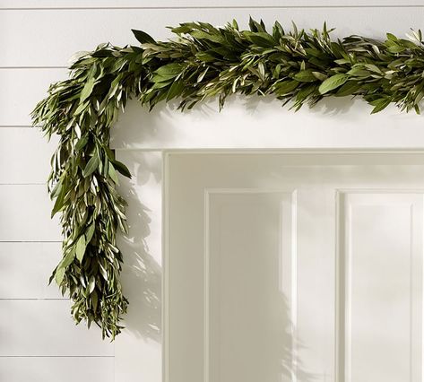 10 Easy Pieces: Garlands and Boughs to Deck Halls - Gardenista Fresh Garlands, Fresh Olives, Olive Wreath, Christmas Wreaths & Garlands, Garland Diy, Eucalyptus Garland, Pine Wreath, Holiday Garlands, Wreaths & Garlands