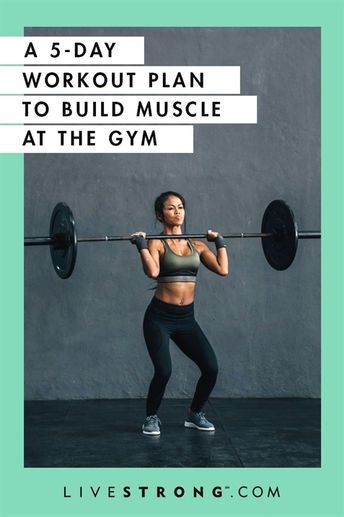 5 Day Workout Plan, Weight Lifting Plan, Day Workout Plan, 5 Day Workouts, Gym Workout Plan For Women, Gym Plan, Lifting Workouts, Workout Splits, Workout Plan For Women