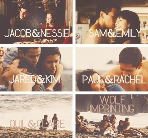 Wolf Imprinting Twilight Wolf Pack, Jacob And Renesmee, Jacob Black Twilight, Twilight Jacob, Twilight Wolf, Team Jacob, Twilight Quotes, Twilight Saga Series, Twilight Breaking Dawn