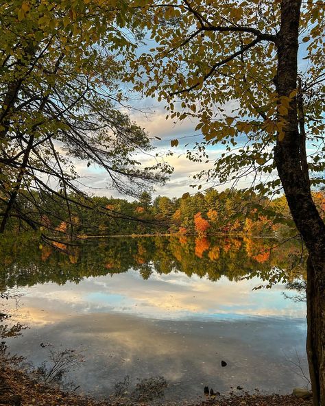 Nothing like a crisp fall walk with Nala bean after sitting in front of a screen all day 🍂🫶🏻 #leafpeeping #fallinmaine #mainefall #naturewalks #fallfoliage #fallvibes #mainelife #getoutside #fallcolors #maineisbeautiful #mainer Maine In The Fall, Fall Walk, Leaf Peeping, Walking In Nature, Fall Foliage, Get Outside, Fall Vibes, Fall Colors, Maine