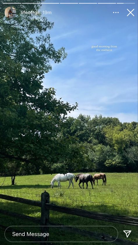 Farm Instagram Story, Farm Captions Instagram, Horse Instagram Story, Travel Instagram Ideas, Nature Story, Nature Instagram, Instagram Inspiration Posts, Instagram Ideas Photography, Foto Ideas Instagram