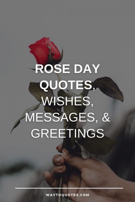 75 Rose Day Quotes, Wishes, Messages, & Greetings - WayToQuotes How To Wish Rose Day To Bf, Rose Day Messages For Him, Rose Flower Quotes, Rose Love Quotes, Rose Day Pic, Rose Day Wishes, I Love You Hubby, Rose Day Quotes, Love You Hubby