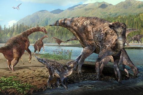 An international team of paleontologists and other geoscientists has discovered the first North American co-occurrence of hadrosaur and therizinosaur tracks in the lower Cantwell Formation within Denali National Park, suggesting that an aspect of the continental ecosystem of central Asia was also present in this part of Alaska during the Late Cretaceous. Dinosaur Facts For Kids, Dinosaur Facts, Dinosaur Wallpaper, All Dinosaurs, Archaeology News, Ancient Animals, Paleo Art, Dinosaur Art, A Dinosaur