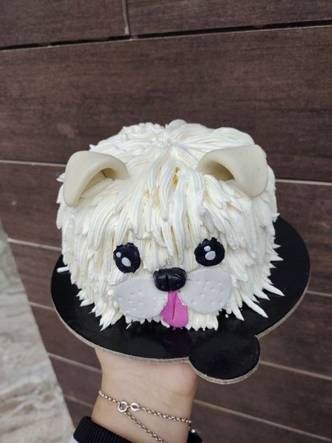 Dog face cake Dog Face Cake Design, Pomeranian Cake, Bentos Cake, Dog Face Cake, Buttercream Tips, Piping Buttercream, Bug Cake, Face Cake, Shitzu Puppies