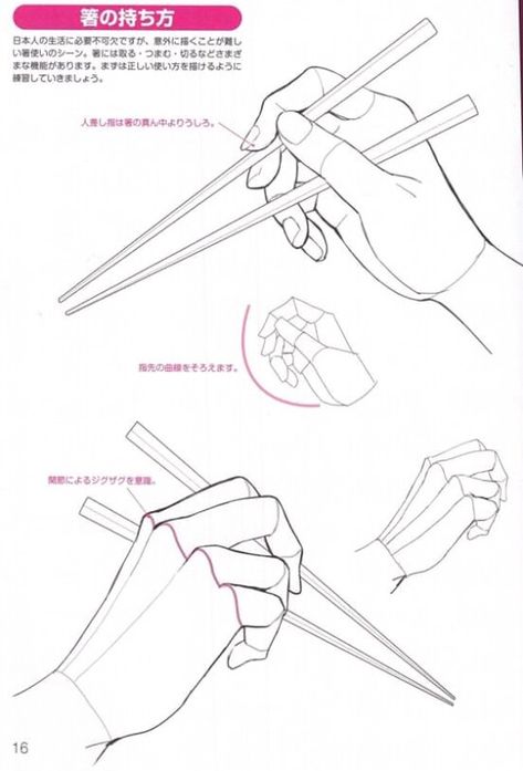 Chopstick Hand Reference, Hands Holding Chopsticks Reference, Chopstick Reference, Holding Chopsticks Drawing, Hand Holding Chopsticks Drawing, Hand Holding Chopsticks Reference, Chopsticks Reference, Holding Chopsticks Reference, Cooking Poses Drawing