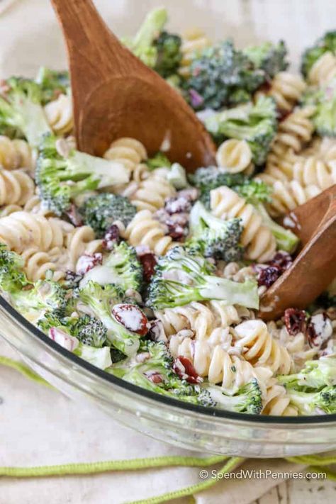 Broccoli Pasta Salad combines a traditional broccoli salad with pasta for the perfect potluck dish! Crisp broccoli, tender pasta, onions and sweet cranberries are mixed in a simple creamy dressing! #spendwithpennies #broccoli #broccolisalad #pastasalad #potluckrecipe #easypotluckdish #sidedish #easyrecipe #saladrecipe Cookout Foods, Salad With Pasta, Broccoli Pasta Salad, Broccoli Pasta Salads, Pasta Sauce Homemade, Easy Grilled Chicken, Broccoli Salad Recipe, Creamy Dressing, Greek Salad Pasta