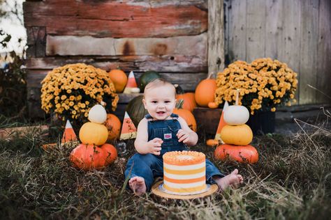 Pumpkin Theme Cake Smash, Cake Smash Fall Theme, October Smash Cake Ideas, Halloween Smash Cake Photoshoot, Fall First Birthday Photoshoot, Fall First Birthday Boy, Fall Cake Smash, Pumpkin Cake Smash, Halloween Cake Smash