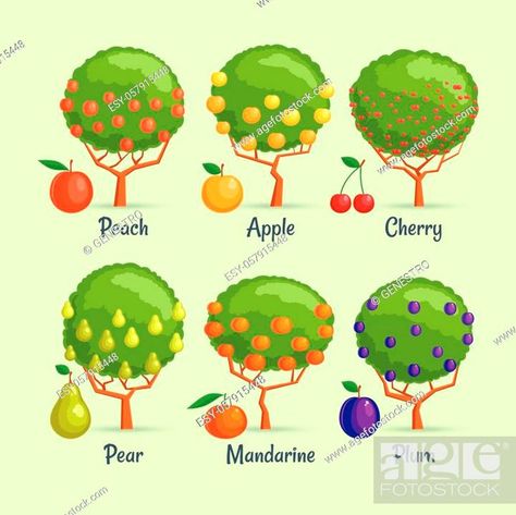 Garden Berries, Food Doodle, Fruit Tree Garden, Ranch Living, Fruit Bearing Trees, Food Doodles, Tree Icon, Types Of Fruit, Different Fruits