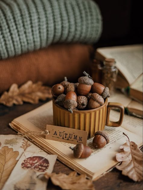 Autumn Flatlay, Fall Produce, Fall Feels, Autumn Cozy, Autumn Aesthetic, Fall Wallpaper, Autumn Photography, Fall Harvest, Hello Autumn