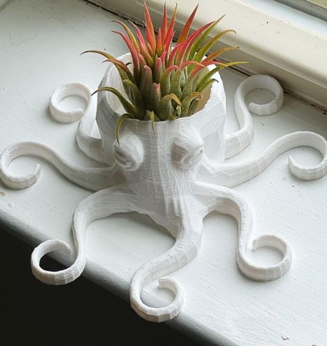 3d Printed Planters, 3d Printed Pots, Terra Cotta Pot Ideas, Octopus Planter, Planter Ideas Diy, 3d Printer Ideas, 3d Printed Gifts, Garden Planter Ideas, Mini Octopus