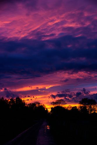 Colorful sunset | Susanne Nilsson | Flickr Colorful Sunset, Sky Pics, Sky Pictures, Cat Air, Sun Sets, Sunset Wallpaper, Pretty Sky, Sunset Pictures, Sunset Sky