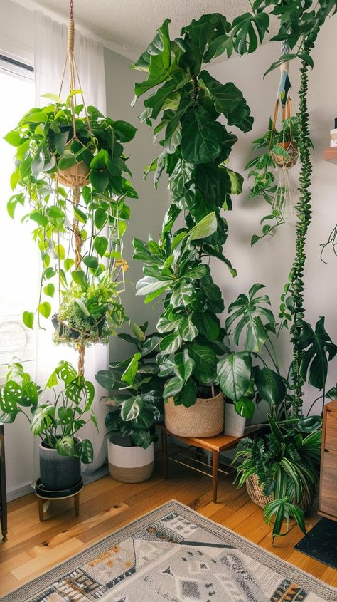 Indoor garden with tall leafy greens and small bushy plants in a bright room, creating a serene atmosphere. Green House Plants Aesthetic, House With A Lot Of Plants, Healthy Indoor Plants, Draping Plants Indoor, Plants In House Decor, Good Bedroom Plants, Spiritual Plants For Home, Plants In Apartment Aesthetic, Indoor Jungle Aesthetic