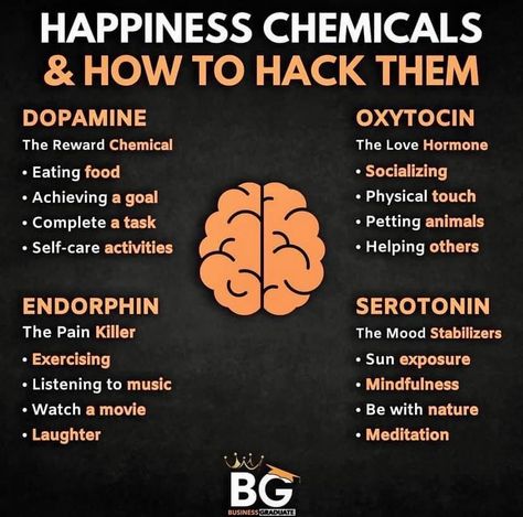 Happiness Chemicals, Nervus Vagus, Brain Facts, Financially Independent, Mental Health Facts, Retire Early, Morning Sickness, Health Knowledge, Neurology