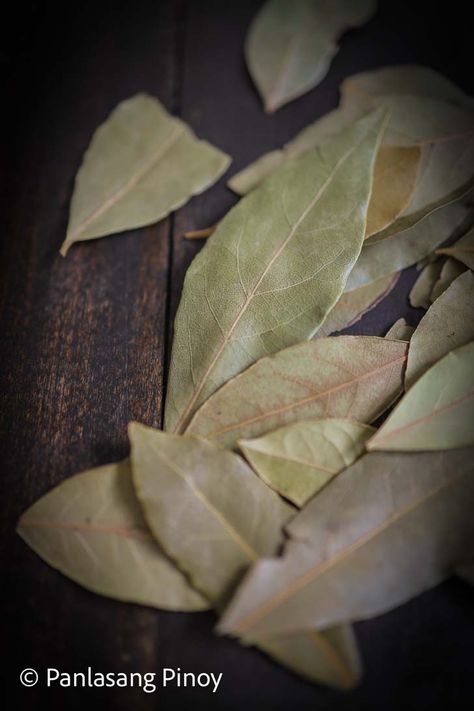 Burning bay leaves Burn Bay Leaves, Laurel Plant, Bay Laurel Tree, Burning Bay Leaves, Dried Bay Leaves, Laurel Tree, When To Plant Vegetables, Filipino Dishes, Laurel Leaves