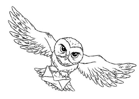 realistic owl coloring pages - Cool Owl Coloring Pages Ideas Harry Potter Kawaii, Harry Potter Weihnachten, Dobby Harry, Harry Potter Dragon, Harry Potter Coloring Pages, Harry Potter Goblet, Harry Potter Printables Free, Harry Potter Colors, Imprimibles Harry Potter