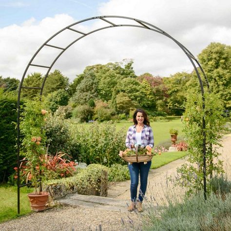 Roman Garden Arch Roman Garden, Flower Arch, Stainless Steel Bolts, Garden Arches, Metal Arch, Garden Features, Climbing Plants, Flower Images, Black Stainless Steel