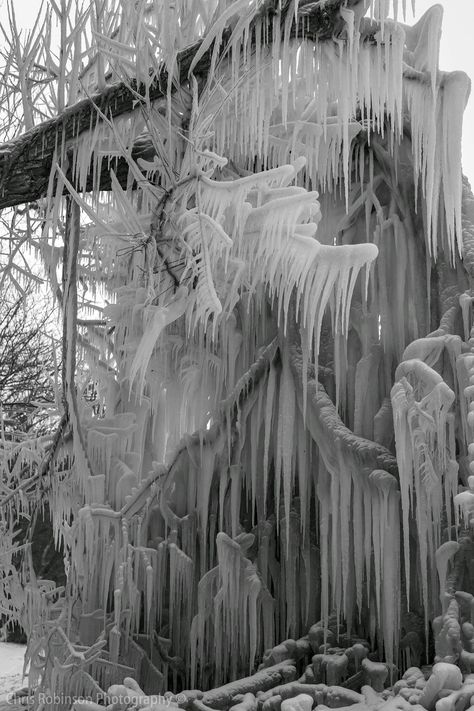 Tree branch covered in icicles . Webster New York [5616x3744] [OC] | Posted by Christhephotographer #Landscape #Photography #Natural #Beauty Christmas Tree Photography, Visuell Identitet, Black And White Tree, Tree Photography, Winter Magic, Winter Scenery, Winter Beauty, Matte Painting, Snow And Ice