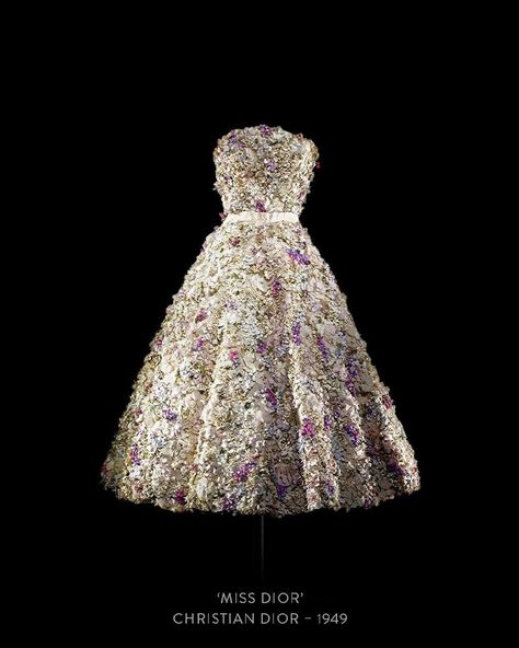 Miss Dior Dress, Dior Vintage Dress, Christian Dior Gowns, 1950 Dress, Dresses 70s, Christian Dior Dress, Dior Dresses, Dior Gown, Dior Dress