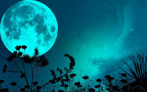 The blue moon HD Wallpapers | PixelsTalk.Net Full Moon Spells, Night Sky Moon, Moon Spells, Screen Savers Wallpapers, Moon Shadow, Moon Wallpaper, Sky Moon, Beautiful Moon, Screen Savers