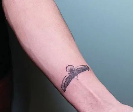 Small Eagle Tattoo, Hand Poke Tattoo, Falcon Tattoo, Hawk Tattoo, Small Finger Tattoos, Tattoo Techniques, Best Tattoos For Women, Eagle Tattoos, Hand Poked Tattoo