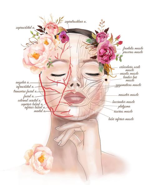 Why is anatomy important? While... - Siren Medical Aesthetics | Facebook Aesthetic Dermatology Clinic, Dermatologist Aesthetic Wallpaper, Dermatology Aesthetic, Botox Clinic, Skin Anatomy, Facial Pictures, Facial Routine Skincare, Skin Care Pictures, Aesthetic Dermatology