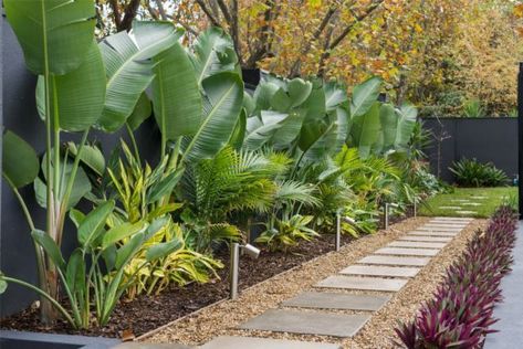 Duplex Landscaping, Plant Layering, Bamboo Courtyard, Laundry Garden, Garden Rooftop, Modern Japanese Garden, Melbourne Garden, Tropical Backyard Landscaping, Small Tropical Gardens