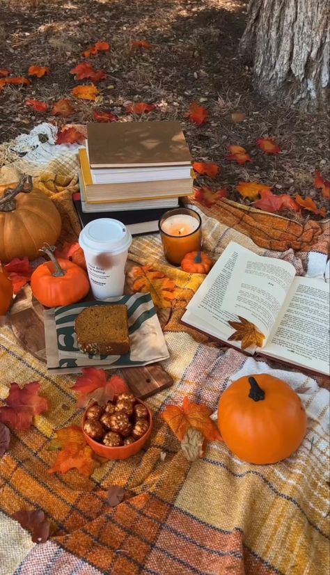 Autumn Picnic, Studera Motivation, Herbst Bucket List, Fall Picnic, Fall Mood Board, Fall Bucket List, Pumpkin Spice Season, Fall Inspo, Fall Feels