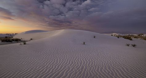 The Hidden Dangers Inside of White Sands National Park - Drivin' & Vibin' White Sand National Park, White Sands National Park, Dry Camping, Wwii Airplane, Desert Environment, Ultimate Bucket List, National Parks Map, Free Camping, Nose Art