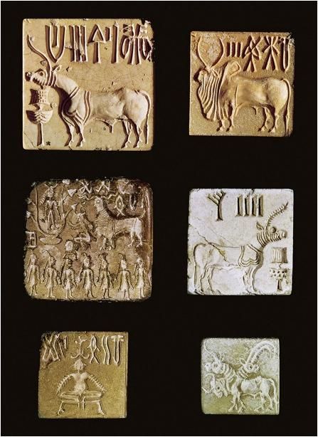 Indus Valley Seals, discovered in the late nineteenth century, were the first sign of civilization found in the Indus River Valley. The writing on the seals is not readable as of now, but the motifs seem to be related to seals from ancient Mesopotamia. Pg. 292  Charity Hess Mesopotamian Civilization Art, Indus Valley Civilization Project, Ancient History Projects, Indus Valley Civilization Art, Study Blue, Indus Valley Seals, Indus Valley Civilization Buildings, Indus River, Indus Valley Civilization Seals