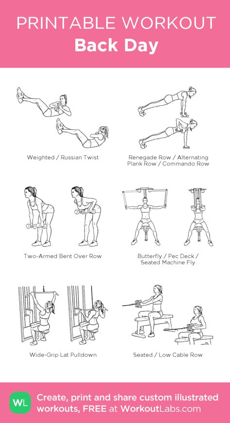 Effective Workout Plan, Back Day Workout, Full Body Dumbbell Workout, Printable Workout, Abs Workout Gym, Printable Workouts, Gym Routine, Abdominal Exercises, Workout Plan Gym