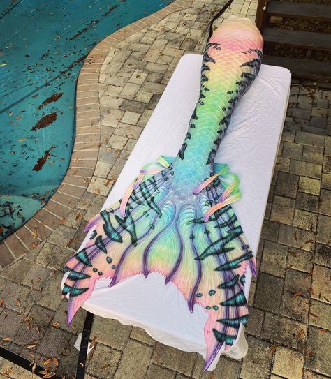 Mermaid Tail Drawing, Rainbow Mermaid Tail, Glaucus Atlanticus, Candy Rainbow, Background Love, Parrot Fish, Silicone Mermaid Tails, Mermaid Stuff, Pretty Mermaids