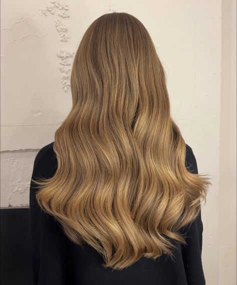 Money Blonde, Gold Brown Hair, Gold Blonde Hair, Hair Dye Shades, Brown Hair Inspiration, Beachy Waves Hair, Perfect Blonde Hair, World Hair, Beige Hair