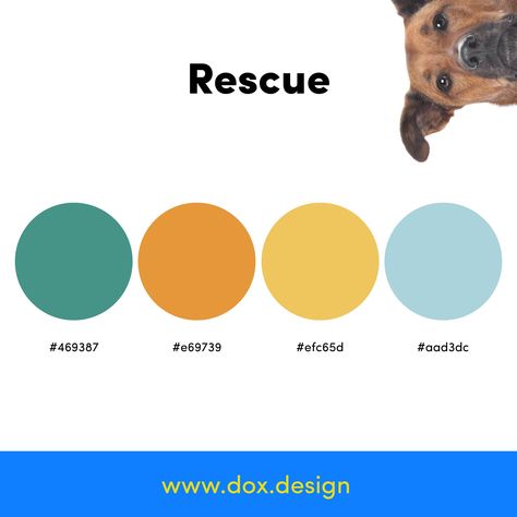 Rescue Dog Color Palette: 🎨 Warm, inviting colors perfect for a space that's all about love and compassion. #rescuedog #dog . #Pet_Shop_Color_Palette #Pet_Branding_Color_Palette #Pet_Color_Palette #Animal_Color_Palette Dog Brand Color Palette, Pet Branding Color Palette, Dog Color Palette, Food Colors Palette, Dog Sanctuary, Color Palette Warm, Custom Hard Hats, Custom Wall Stickers, Pet Branding