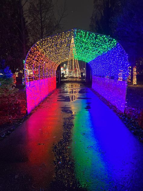 PHOTOS: Take A Look Inside Bright Lights Windsor 2023 | windsoriteDOTca News - windsor ontario's neighbourhood newspaper windsoriteDOTca News Ambassador Bridge, Windsor Ontario, Sunken Garden, Rose City, The Enchantments, Friday Evening, Christmas Events, Holiday Market, Video Ideas