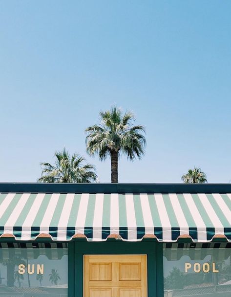 Modern Beach Aesthetic, Retro Palm Springs Aesthetic, Retro Beach Aesthetic, Palm Springs Golf, Vintage Summer Aesthetic, Palm Springs Design, Vintage Malibu, Palm Royale, Palm Springs Aesthetic